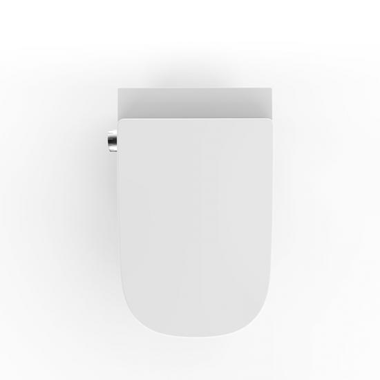Popular Smart Toilet