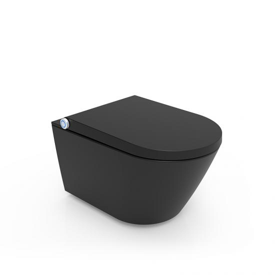 All-In-One smart toilet