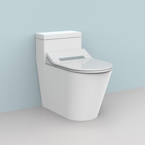 WC lavants  douche WC bidet seat