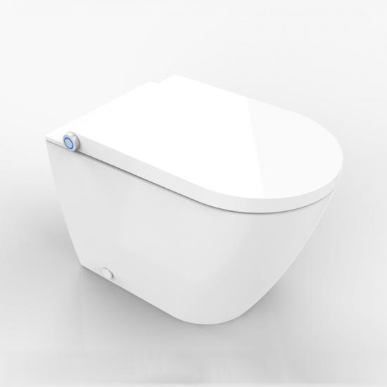 Smart bidet seat douche WC