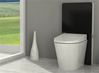 Découvrez l'avenir de la conception de la salle de bain avec notre réservoir d'armoire en verre Sensor Flush