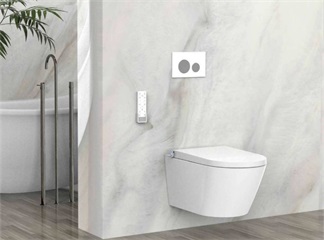 Glossaire mondial des toilettes intelligentes : des langues principales aux langues secondaires