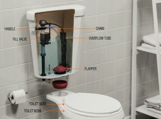 Ce que vous devez savoir sur les composants des toilettes