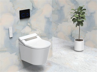 Trois caractéristiques sous-estimées des toilettes intelligentes
    