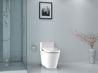 Comment choisir les toilettes en céramique parfaites pour votre maison : un guide complet
