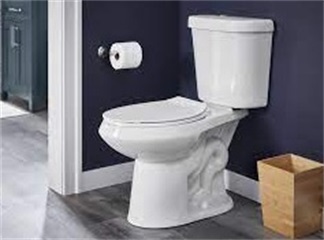 Les sièges de toilettes peuvent provoquer des infections : découvrez ce que vous pouvez attraper dans la salle de bain
    