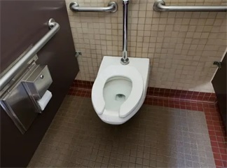 Raisons pour lesquelles certaines toilettes publiques utilisent des anneaux de siège en forme de U