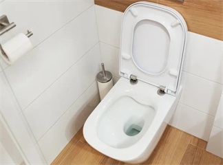 Les sièges de toilettes amovibles sont-ils le secret pour des toilettes vraiment propres ?